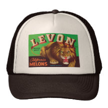 Vintage Trucker Hat