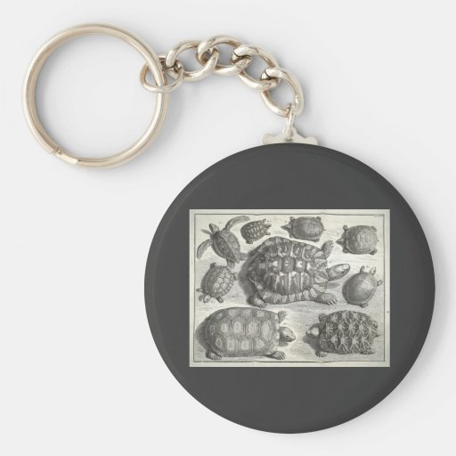 Vintage Turtle Etching Key Chain