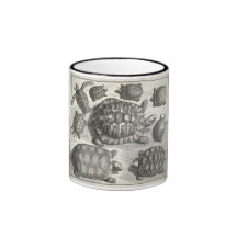 Vintage Turtle Etching Mugs