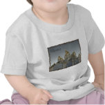 Vintage Ukraine T Shirts