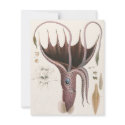 Vintage Umbrella Squid invitations