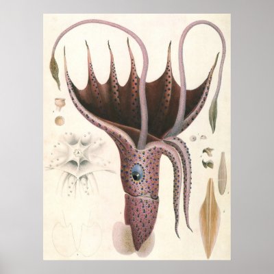 Vintage Umbrella Squid Posters by YesterdayCafe