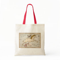 Vintage Unicorn Star Constellation  Map Canvas Bag