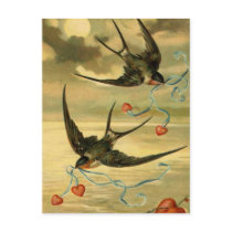 Vintage Valentine Barn Swallows With Hearts Postcard