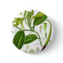 Vintage Vanilla Pod Specimen Pinback Button