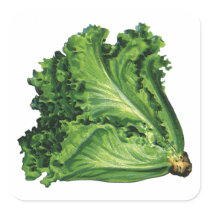 Vintage Vegetables; Green Leaf Lettuce Stickers