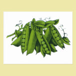Vintage Vegetables; Sugar Snap Peas postcards