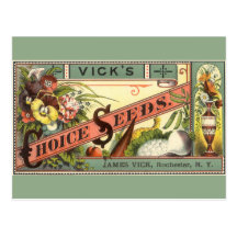 Vintage Vick's Choice Seeds Packet Label Art Post Card
