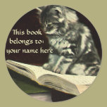 Vintage Victorian Animal Kitten Reading Bookplate stickers