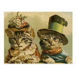 Vintage Victorian Cats in Hats, Funny Silly Humor Postcard