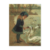 VINTAGE VICTORIAN Feeding Trumpeter Swans POSTCARD