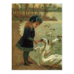 VINTAGE VICTORIAN Feeding Trumpeter Swans POSTCARD