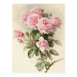 Vintage Victorian Romantic Roses Post Card