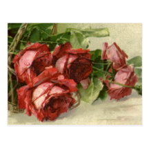 Vintage Victorian Valentine's Day Red Roses Post Cards