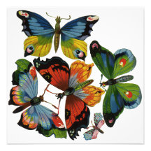 Vintage Wild Animals, Insects, Bugs, Butterflies Custom Invite