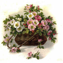 Vintage Wild Roses Photo Sculpture