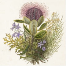 Vintage Wildflowers Thistle Photo Sculpture