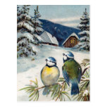 Vintage Winter Postcard With Birds