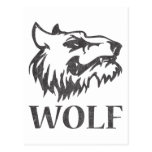 Vintage Wolf Postcards