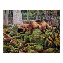 Vintage Wolverine Illustration Postcard