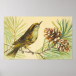 Vintage Wren Poster