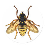 Vintage Yellow Bee stickers