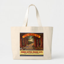 Vintage Yo-Semi-Te Orange Label Bag