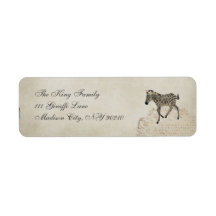 Vintage Zebra  Address Label