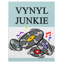 VINYL record collector