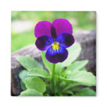 Viola Fridge Magnets