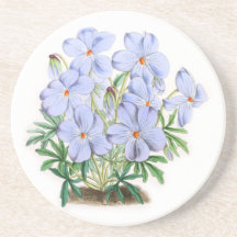 Viola Pedata Beverage Coasters