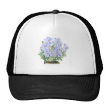 Viola Pedata Hats