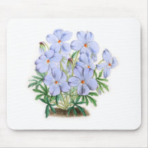 Viola Pedata Mousepad