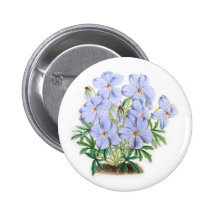 Viola Pedata Pins