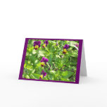 VIOLAS GREETING CARDS