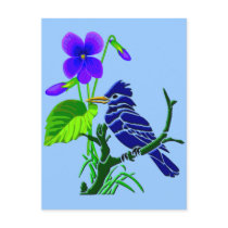 Violet and Blue Jay Postcard