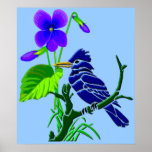 Violet and Blue Jay posters