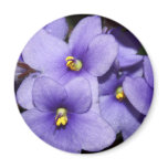 Violet Boquet Magnets