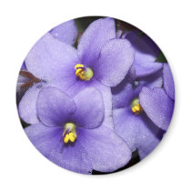 Violet Boquet Magnets