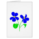 Violet cards