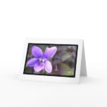 Violet Card