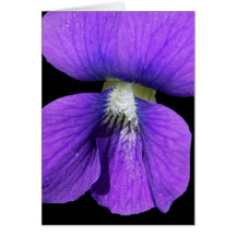Violet card