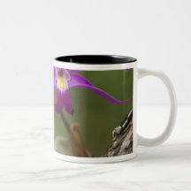 Violet Cattleya Orchid Cattleya violacea) Mug