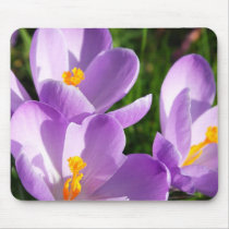 Violet crocus - Mousepad