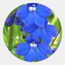 Violet Faces Stickers