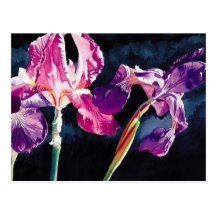 "Violet Iris" Floral by Paul Jackson Postcards