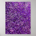 violet posters