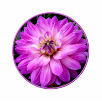 Violet/Purple Dahlia Photo Sculpture