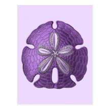 Violet Sand Dollar Postcards