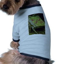 Violet Wooden Cart Planted With Primula juliae flo Dog Clothing